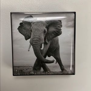 Chantecaille Eyeshadow in Elephant